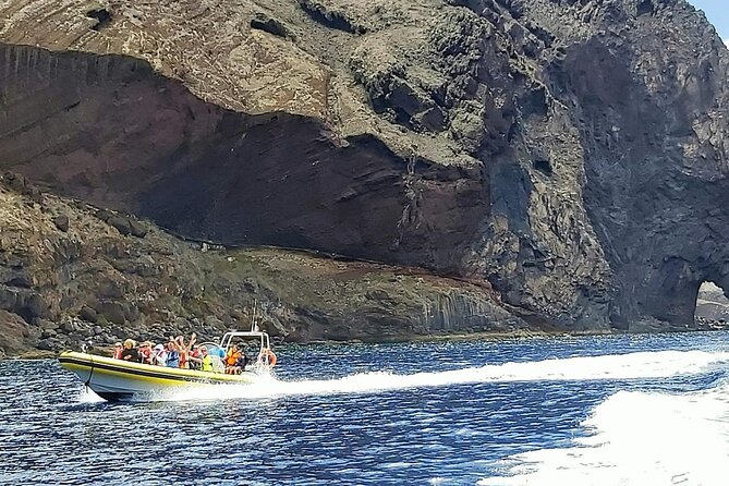 Whale & Dolphin Watching in Madeira - The guide makes the trip: César and Joe, plus the educational vibe