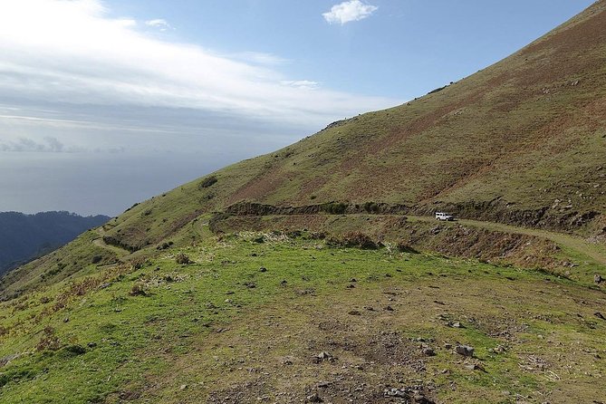 Wine + Dolphin Watching - Full Day- Shared Tour - Funchal and the Catamaran: Dolphins and Whales on Sea Time