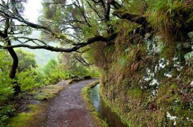 Wine Tasting Experience in Boaventura, Madeira North Coast - A 90-minute wine tasting in Boaventura that feels naturally Madeira