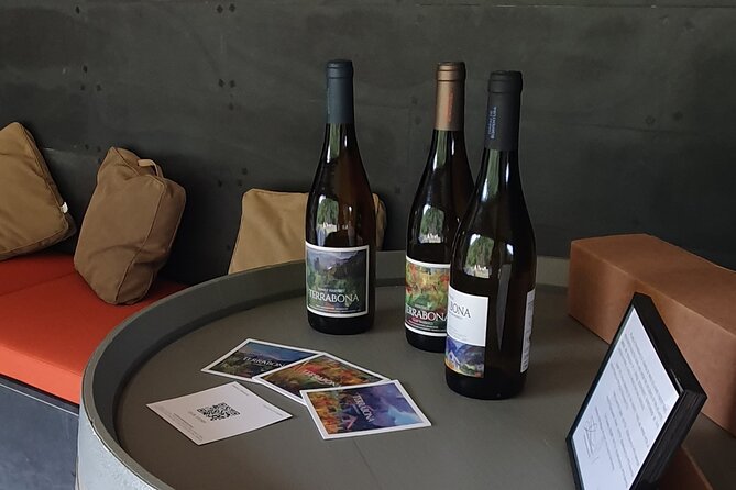 Wine Tasting Experience in Boaventura, Madeira North Coast - From vineyards to a boutique winery: what you’ll actually do