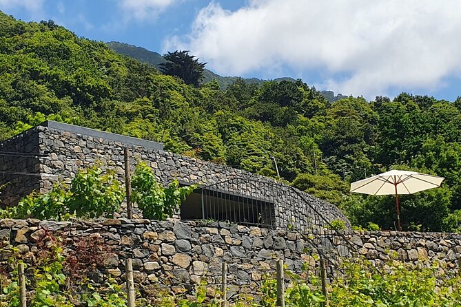 Wine Tasting Experience in Boaventura, Madeira North Coast - What you taste: Terra Bona wines plus homemade bites