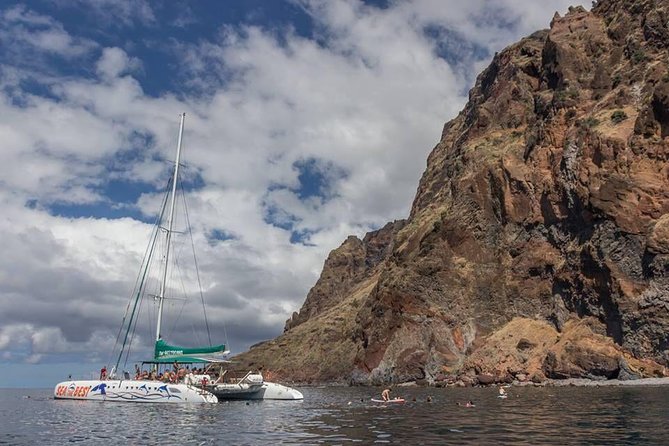 Wines Tasting Experience and Skywalk with Dolphin Watching - The guide factor: humor, questions, and driving skill on Madeira roads